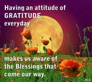 easy going attitude of gratitude