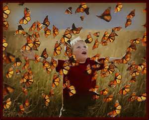 butterfly enthusiasm