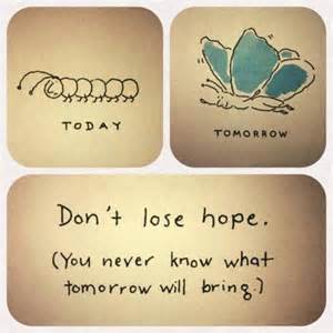 butterfly hope don't lose it