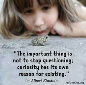 curiosity ask questions