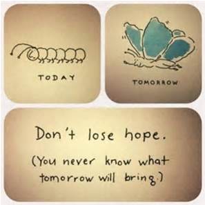 hope butterfly
