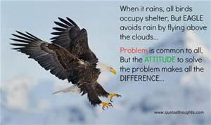 attitude eagle